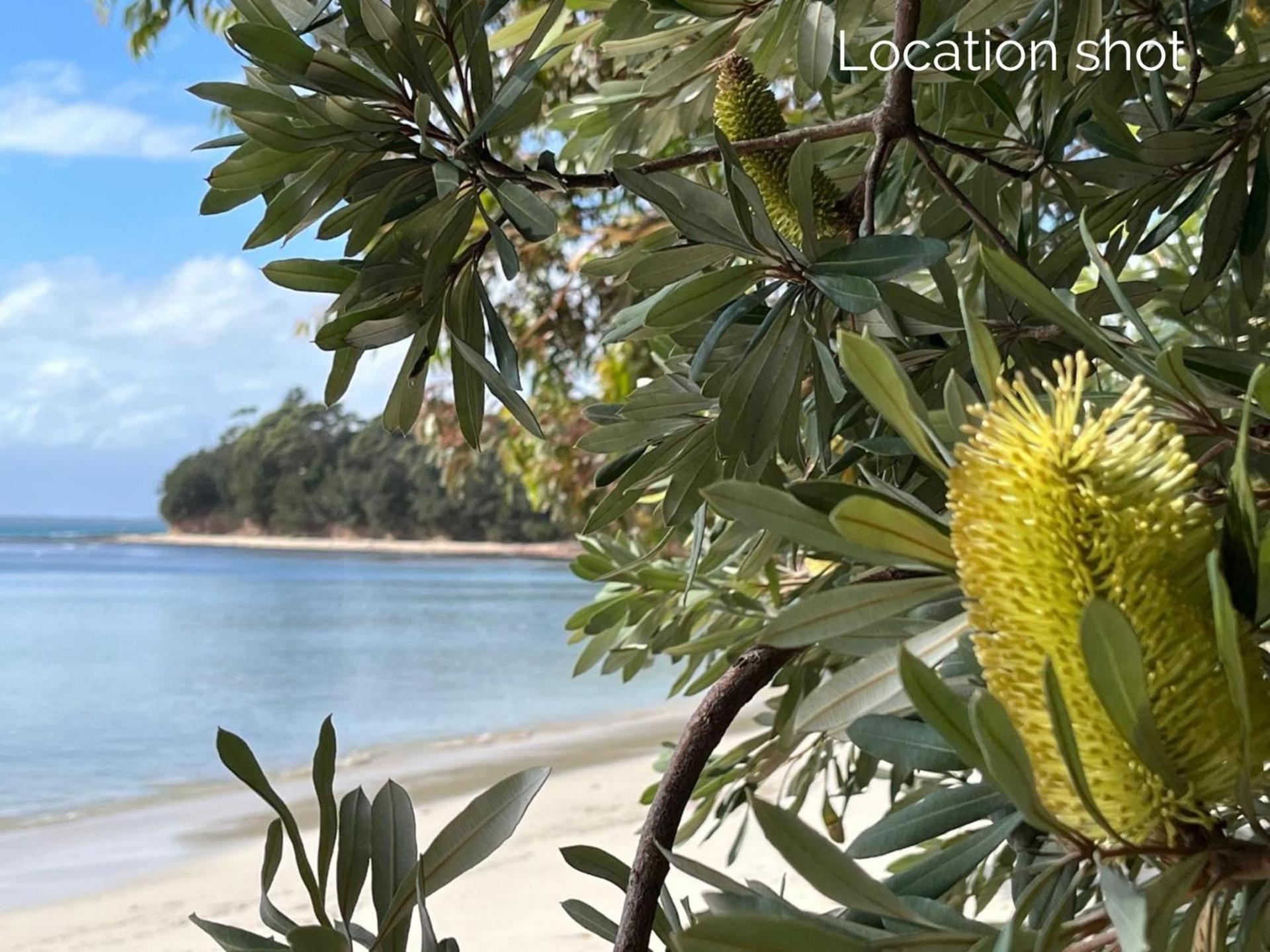 شقة Banksia On Blenheim By Experience Jervis Bay فينسنتيا المظهر الخارجي الصورة
